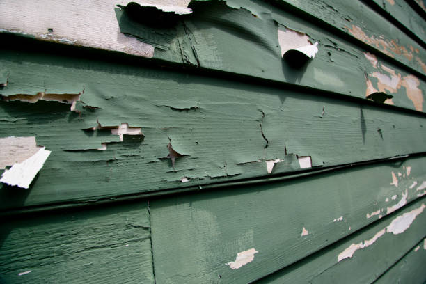 Best Demolition Debris Removal  in Carl Junction, MO